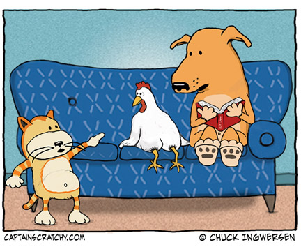 funny chicken pictures. funny chicken cartoon,